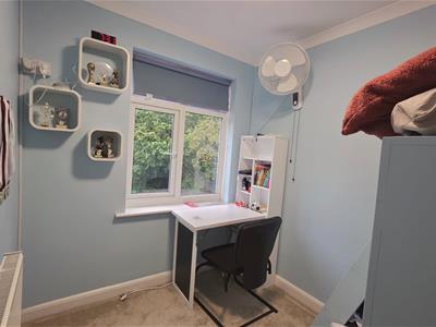 Picture 15